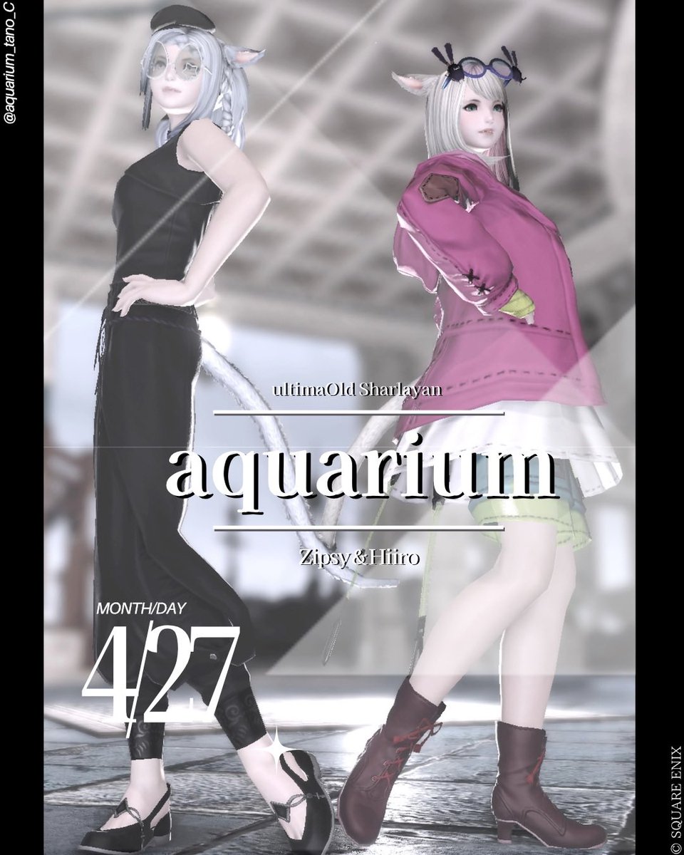 Aquarium tweet media