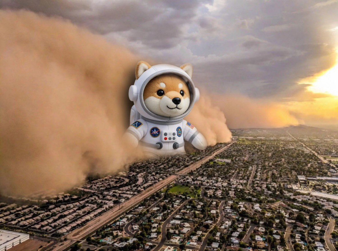 Asteroid ☄️🌕🐕 tweet media