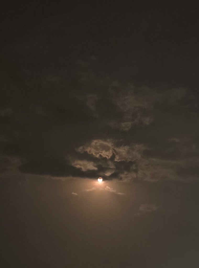 Meghup21's tweet photo. The moon is my friend💕 https://t.co/UcBQIN94xo