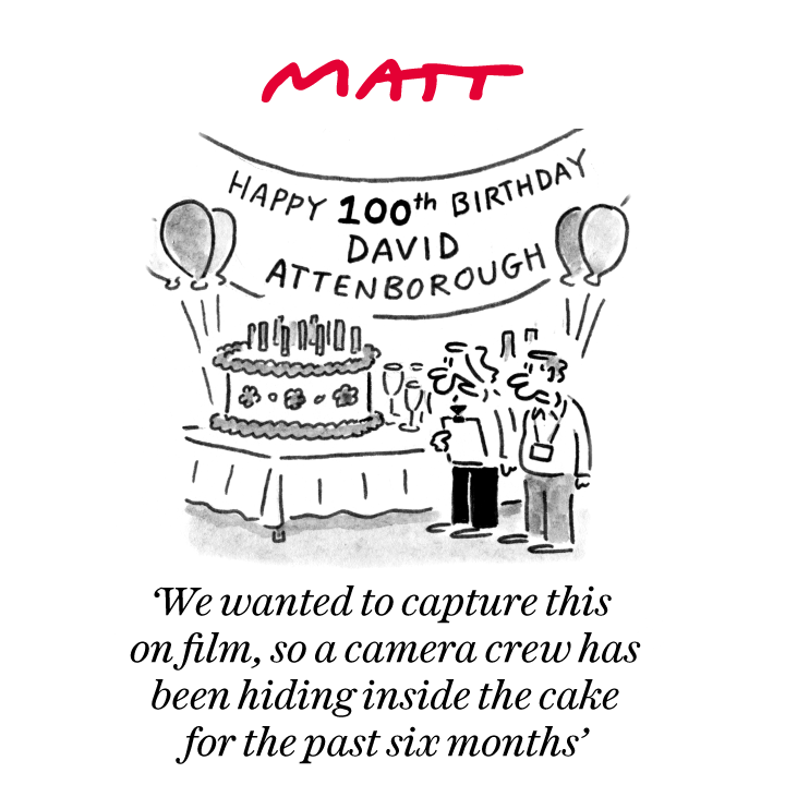 Matt Cartoons tweet media