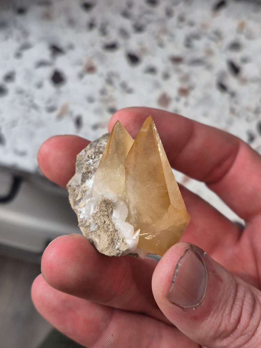 Rockhound R Us tweet media