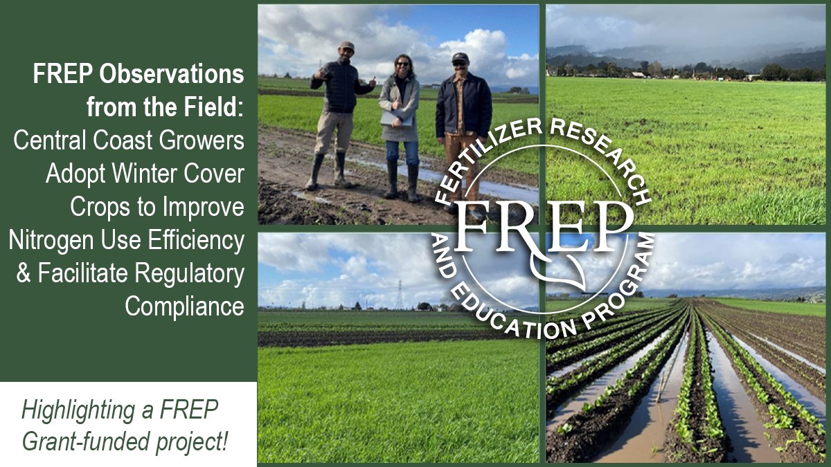 CDFA_ISD's tweet photo. Check out this report of a field visit to a CDFA-funded research project that uses outreach, education and technical assistance to facilitate grower adoption of winter cover cropping for nitrogen scavenging on CA's Central Coast 🌱🌱🌱⤵️
https://t.co/70CW9oLm4y https://t.co/wP1Rafvg16