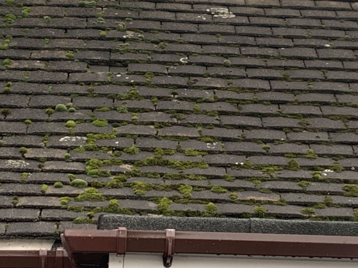 LeadsDoWork's tweet photo. #tileroof #roofer #repairs  quote required Greenacre Road #Tipton get this job lead via app https://t.co/5RIkfdtXll https://t.co/IcD7a2j6fw