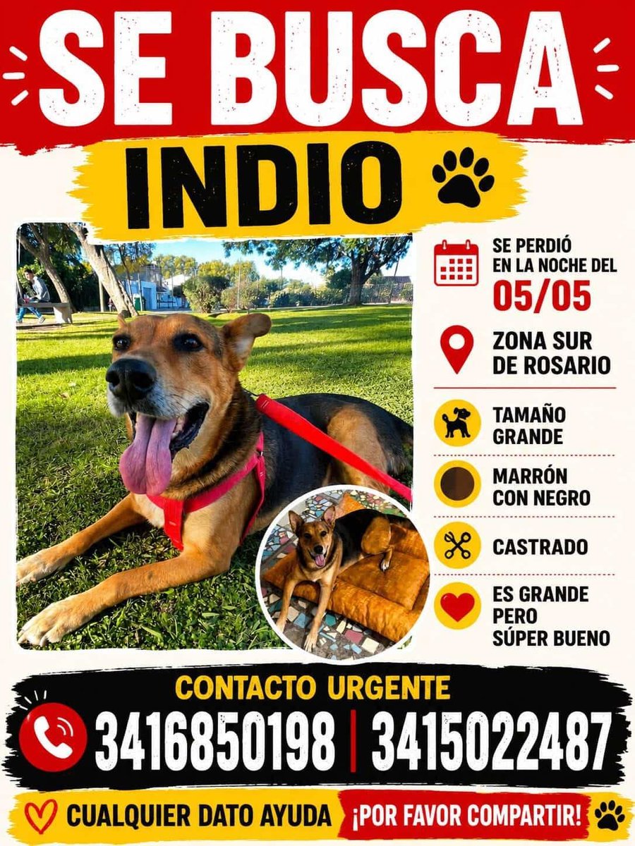 Ayuda Twitter buscan a INDIO
Gracias por compartir 💪