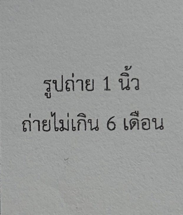 นักสะสมมีมแมว ₍^.ˬ.^💍💛₎ tweet media