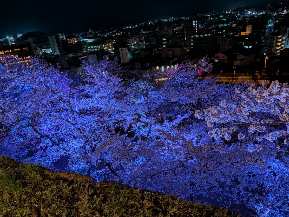⛩巫🐉もうね、龍示🌈令和の龍‼とです🌈🐉🌈⛩ tweet media