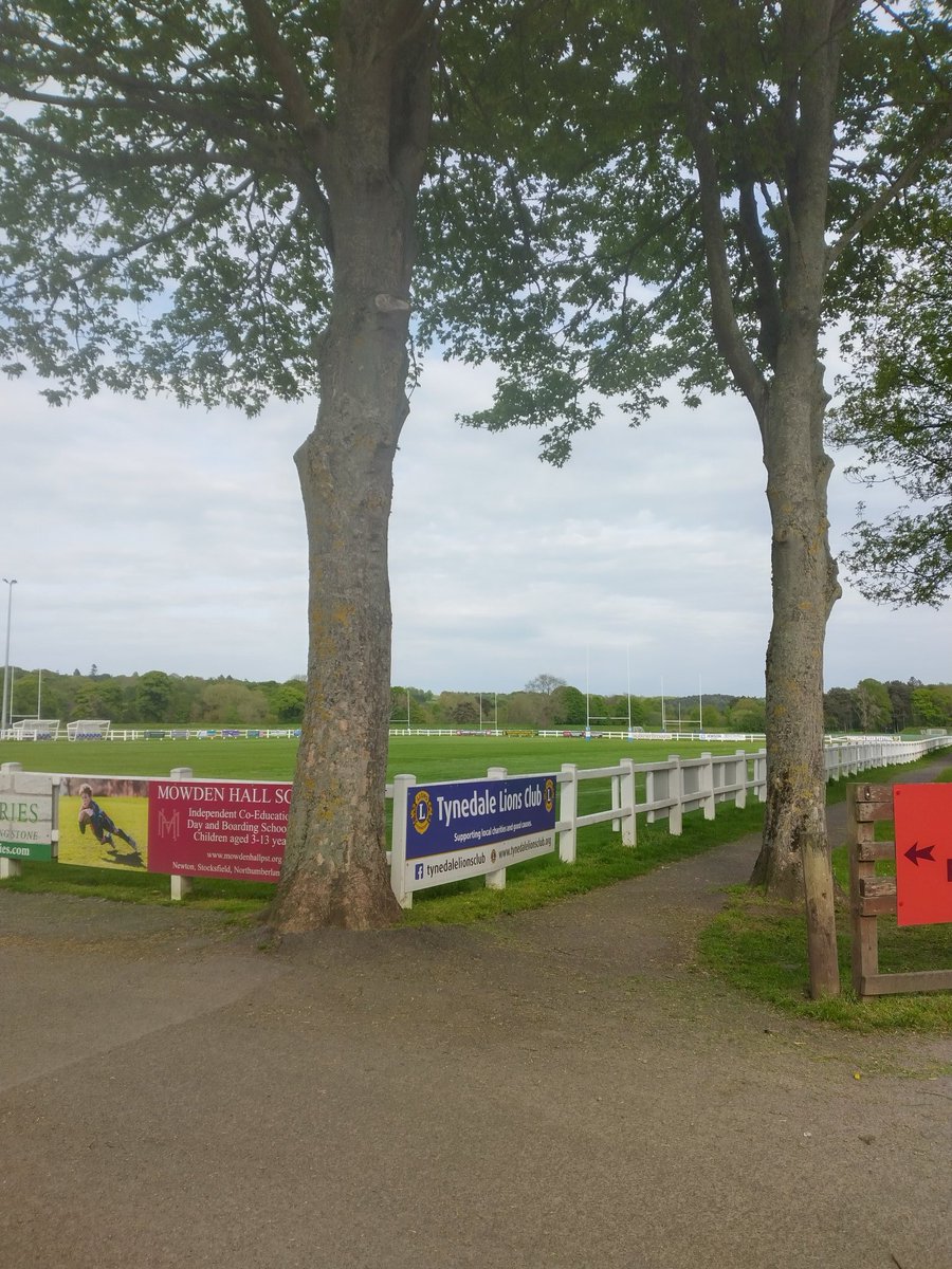 TheBlueStarFC's tweet photo. Tynedale Park, Corbridge 📍 https://t.co/nxiM0BDND9