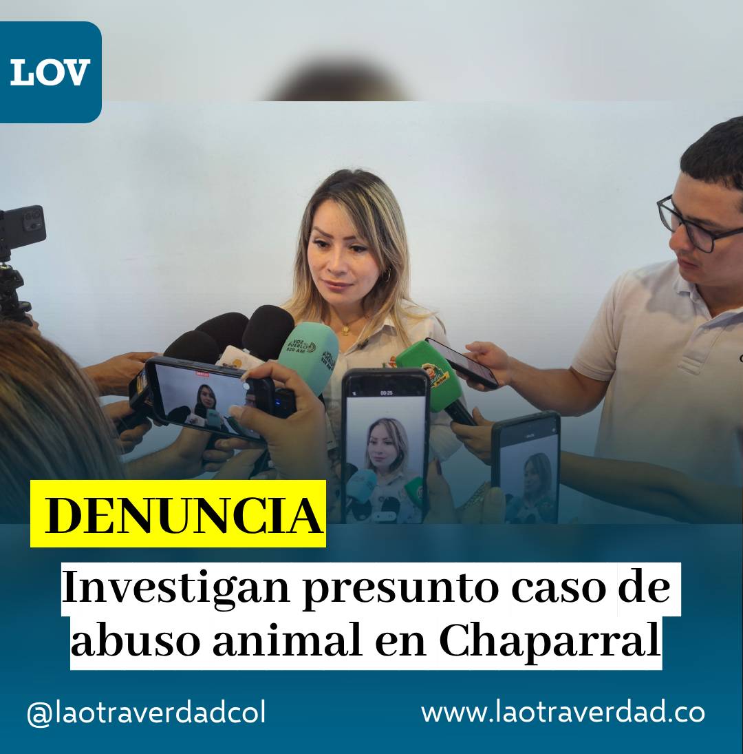 #Denuncia #Tolima | Autoridades del Tolima rechazaron un presunto caso de maltrato animal ocurrido en Chaparral, donde un canino habría sido víctima de abuso sexual y posteriormente trasladado a Ibagué para recibir atención veterinaria especializada.
laotraverdad.co/investigan-pre…
