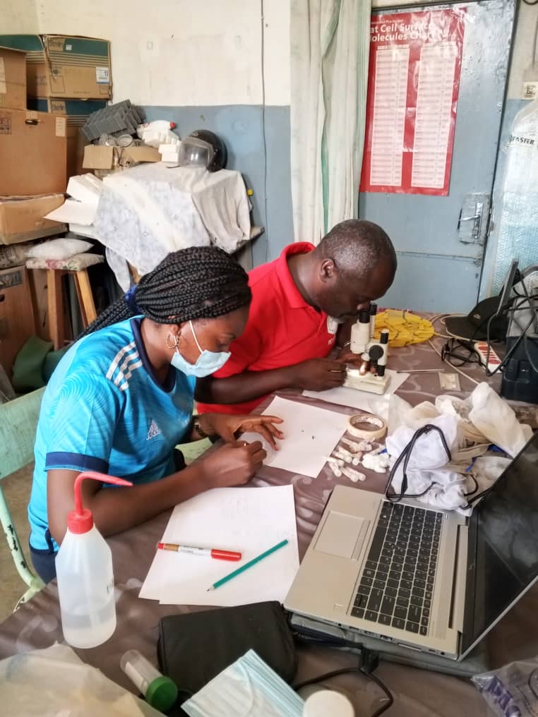 cam_crid's tweet photo. From 28 April to 6 May 2026, Dr. @LiliRanaise  Mbakop, Post-doctoral researcher at CRID, led fieldwork activities in the Mokolo, Far North Cameroon. During one week, she investigated the ecological, entomological, and community determinants of Leishmaniasis in Mokolo.
@RSTMH . https://t.co/htKgiGMB8U