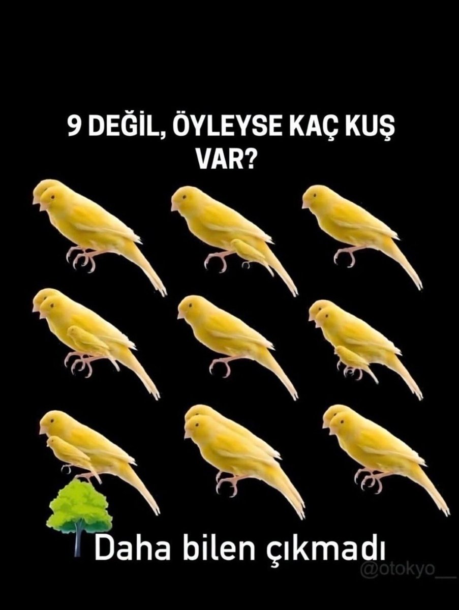 Mümkün tweet media