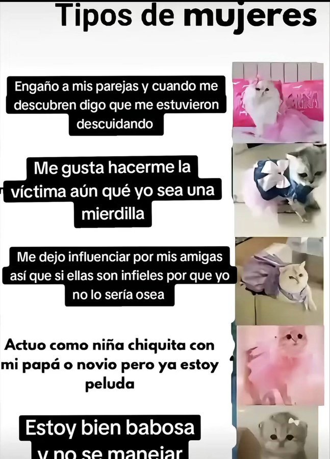 Lafiscalíayaviene🇮🇱💍 tweet media