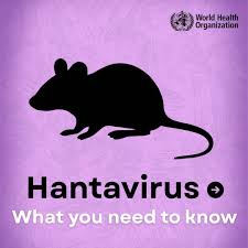 HANTAVIRUS, what you need to know?

How it spreads and manifests, How to reduce your risks

Open this thread and share