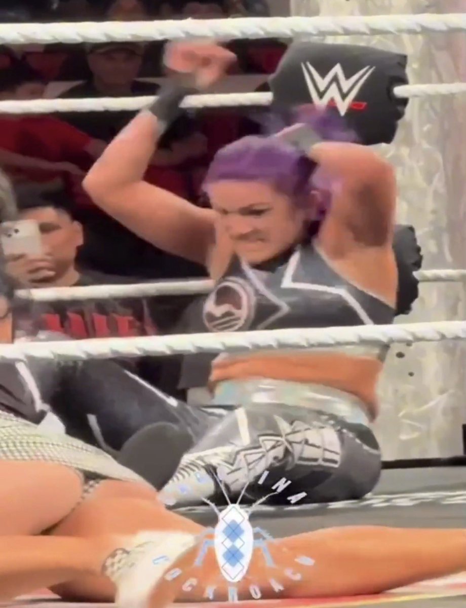 Sexy WWE Women tweet media