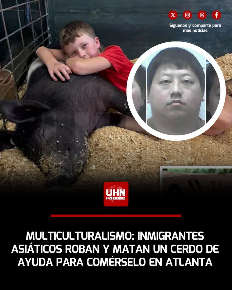 UHN Plus tweet media