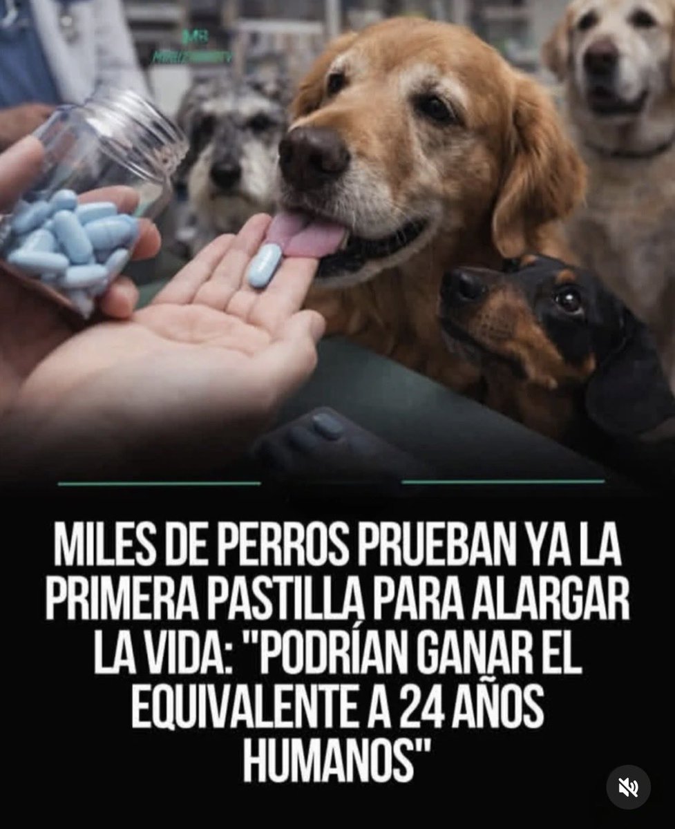 ¡¡ESTÁS PASTILLAS SERÁN FIABLES ???🤔🤔