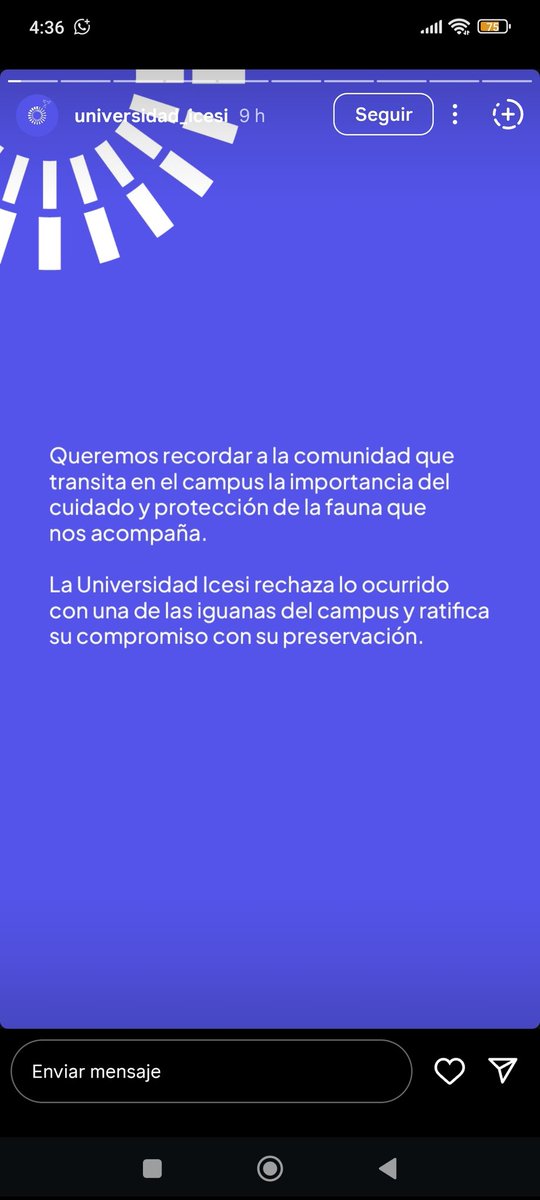 Mari_asífuéquéfué tweet media