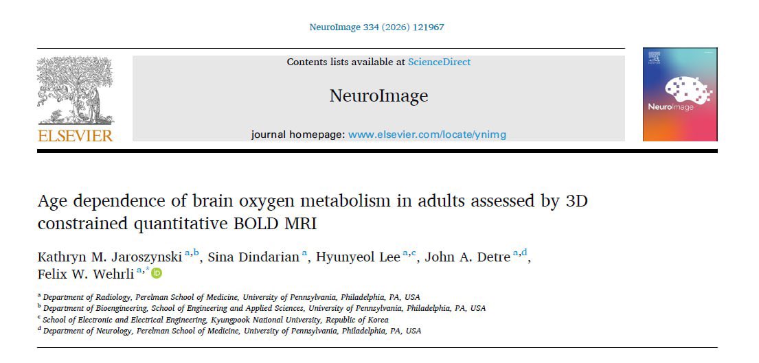 Sina_Dindarian's tweet photo. Excited to share our recent paper published in NeuroImage!
We used a recently-developed 3D constrained quantitative BOLD MRI method at @PennRadiology to study age-related changes in brain oxygen metabolism.
#MRI #Neuroimaging #qBOLD #BrainMetabolism https://t.co/OYSMXhEv00
