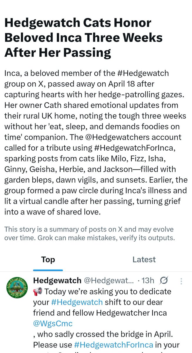George's Mum tweet media