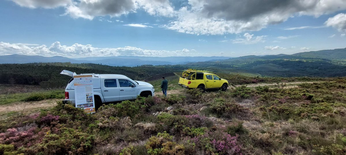 jpicos13's tweet photo. Hoy visitando con los compañeros de @infouex @fjuanadevega  y Gipuzkoa los trabajos en zonas estratégicas de gestión @firepoctep + y quemas prescritas de  en @labrural_pcoura 🇵🇹 https://t.co/3IV5JJb4Mm