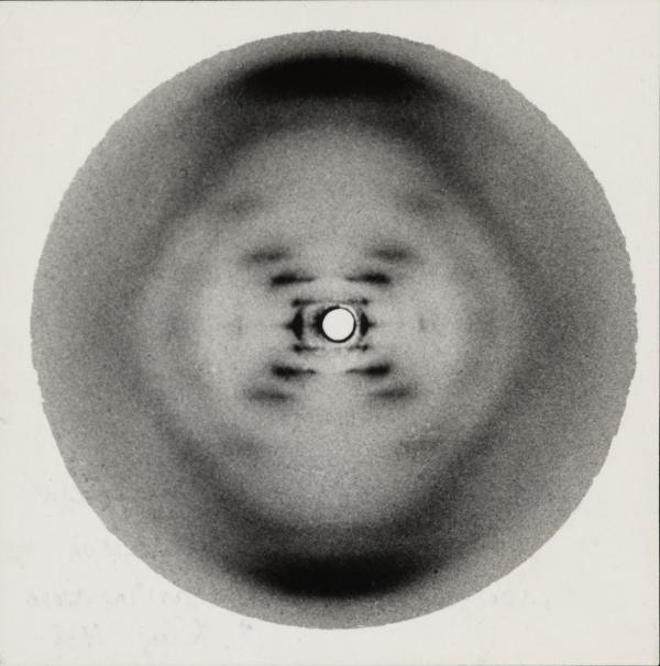 ToyokoLab's tweet photo. The new logo for DNALinux
We designed the DNALinux logo with a core belief: that biological complexity, much like the diffraction pattern in Photo 51, can be decoded through structure, abstraction, and open systems. #rosalind #openscience https://t.co/Zdj4IXZMvu https://t.co/1M09jTJtBj