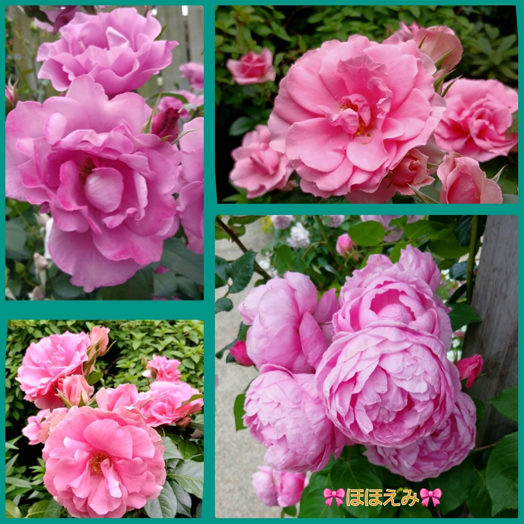 🎀ほほえみ🎀 tweet media