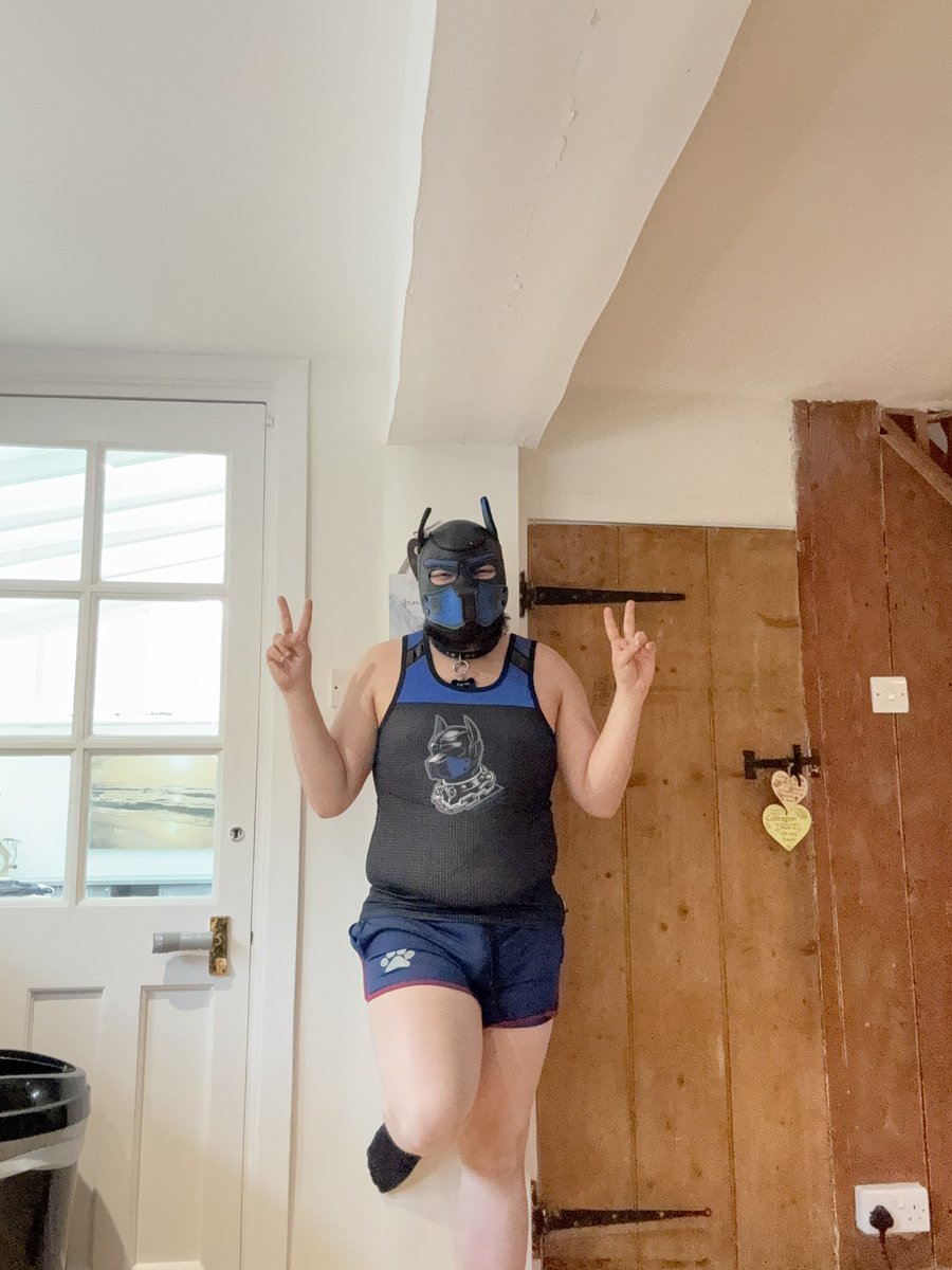Pup Lidl tweet media