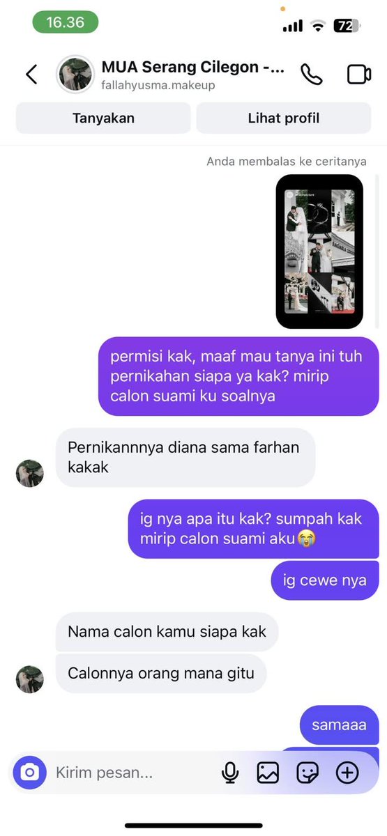 kucing terbang tweet media