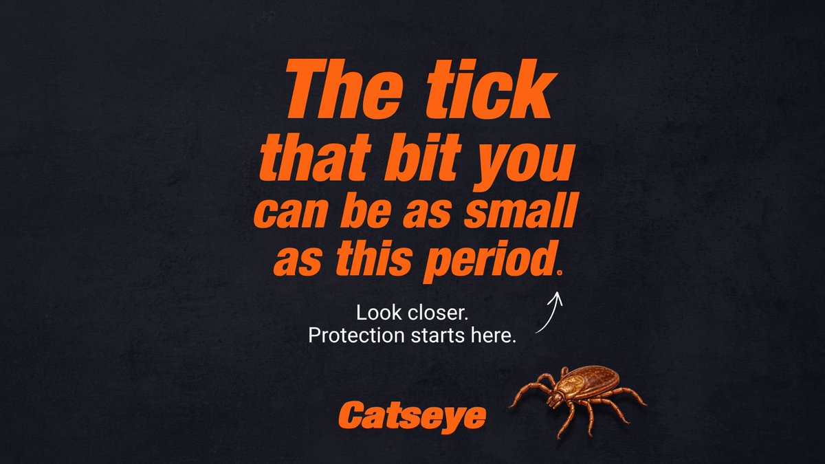 Catseye Pest Control tweet media