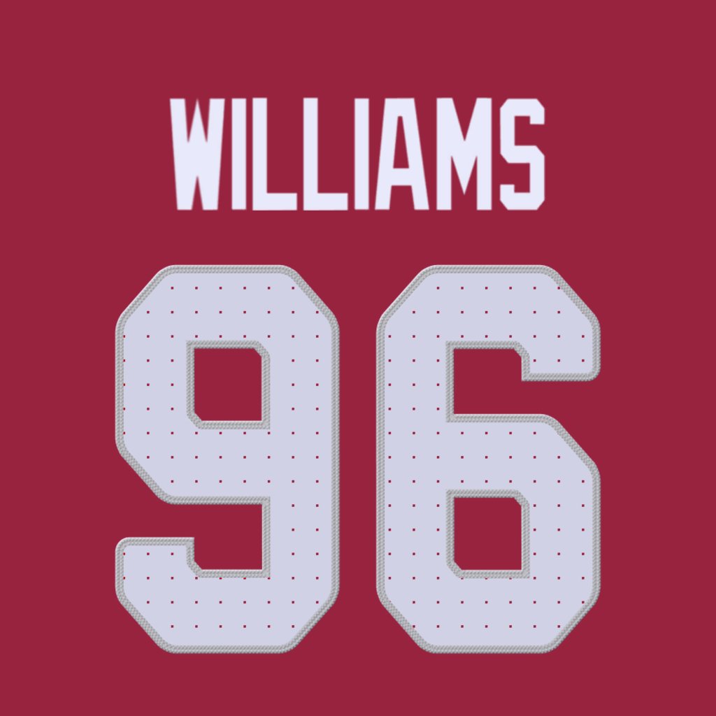 nfl_jersey_num's tweet photo. Arizona Cardinals DL Damonic Williams (@DamonicWilliams) is wearing number 96. Last assigned to Elijah Simmons. #BirdGang https://t.co/vfXAnhVwsW