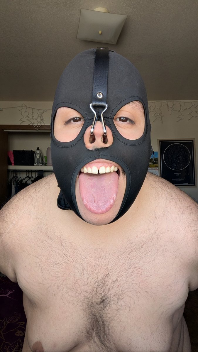 NovaTheBoi's tweet photo. Declaring that I am back. I will be here from time to time. 

Pig. Pup. All of this beautiful boy for you. 

See you around! https://t.co/gdEJy1xmUr