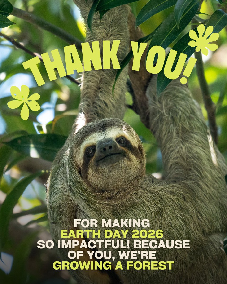The Sloth Institute tweet media