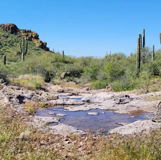 Pinal County - Government tweet media