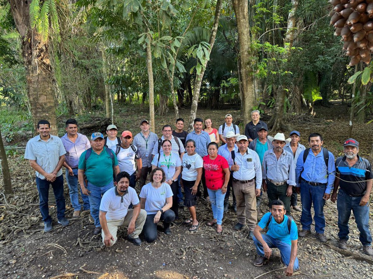 Defensores de la Naturaleza tweet media