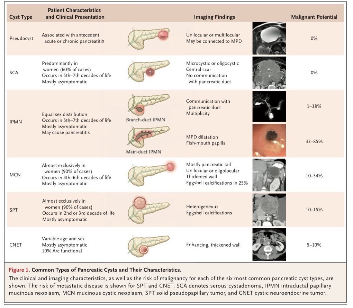 EndoCollab™ | GI Endoscopy Community tweet media