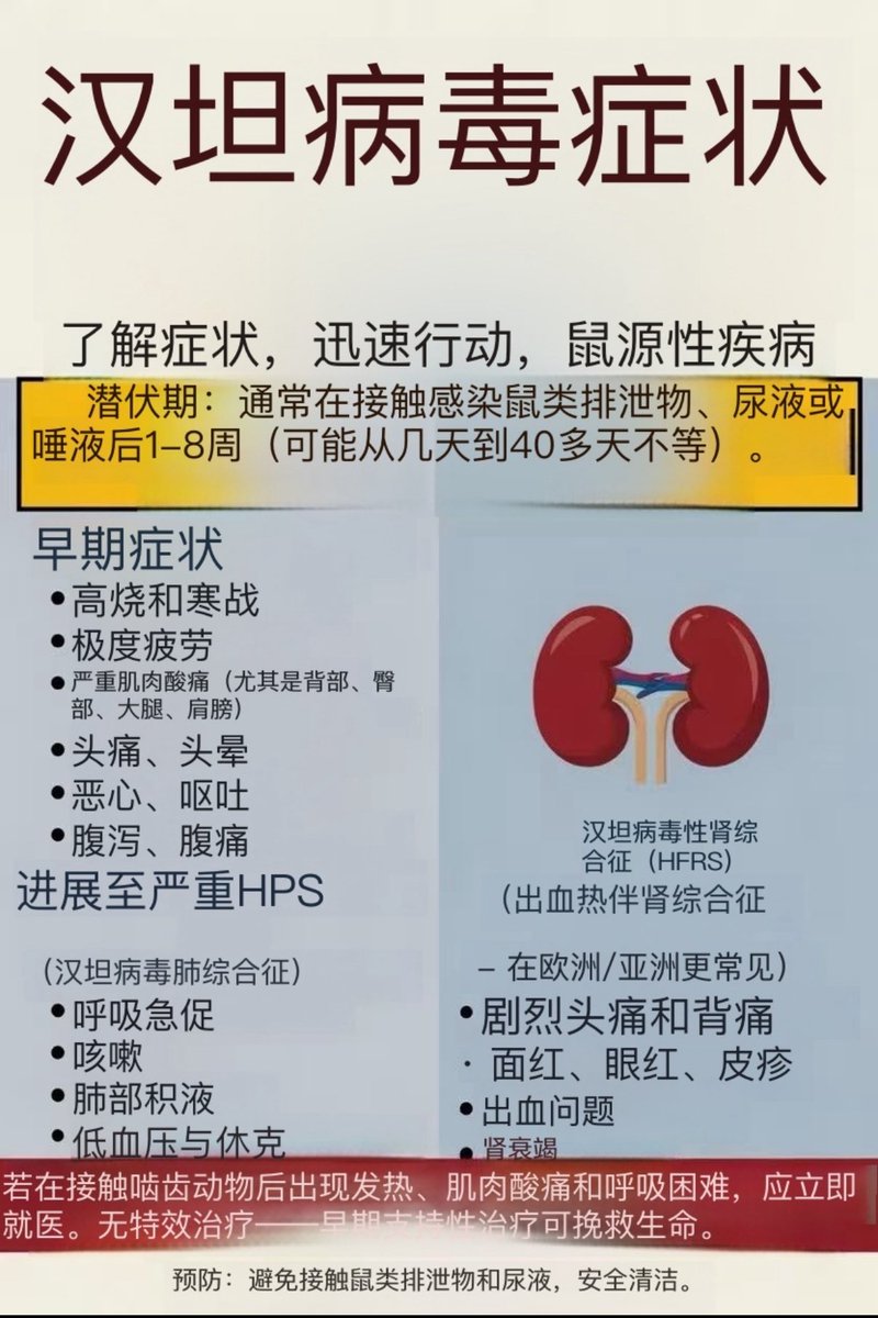 yuzhouzhihui's tweet photo. 对比一下
1.汉坦病毒感染症状
2.新冠病毒著名症状白肺
3.放疗副作用造成白肺

多么相似
这中间有什么关联呢
先说答案：关键点是5G

先说说2022年中国“新冠疫情大爆发”期间几个怪象：部队大院，政府大院，中南海没有感染，说明“疫情”可控
政府给官员发防辐射服

“疫情”传播迅猛，不符合疫情传播规律
“疫情”嘎然而止，中国人出国没有造成海外传播，这根本不是瘟疫

有医院发现白肺症状跟放疗造成的白肺症状一样，采用了治疗放疗副作用的方法治愈了新冠白肺患者，政府禁止医院宣传

这些是放射病！
这次游轮装载了5G设备，游船上的人被辐射，相当于被微波炉叮了几天，相当于集体免费进行了放疗
免疫系统被摧毁

5G不是用来加强通讯信号的，5G一直都是武器，现在转为民用了
真病毒会伤到他们的自己人
而用5G就可控
只要把房子或小区加装法拉第笼就可以避免被放疗
哪怕给房子装个金属丝织物的窗帘，也可以保护自己

所以新冠病毒汉坦病毒都只是药引子，5G才是真凶