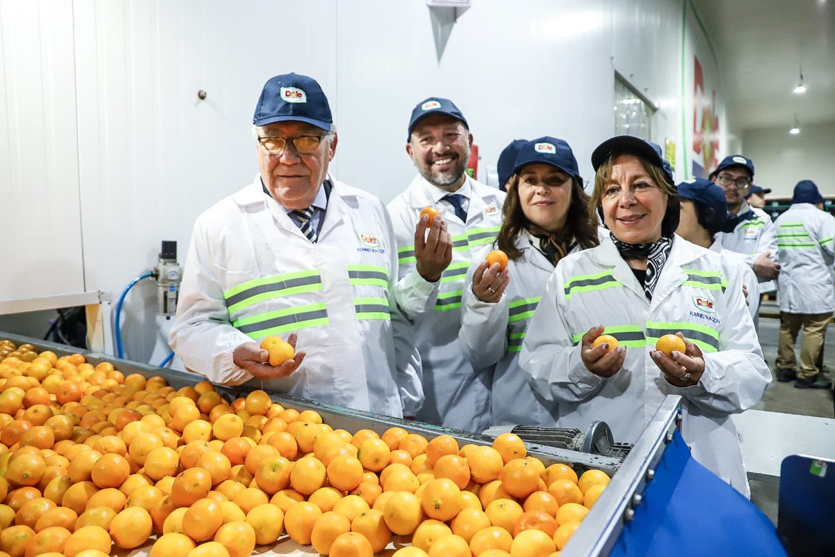 Ministerio de Agricultura de Chile 🇨🇱 tweet media