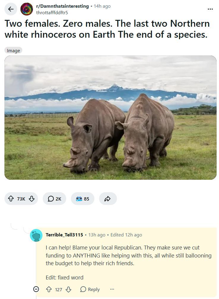 Reddit Lies tweet media
