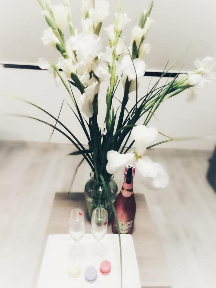 EscortQuerétaro tweet media