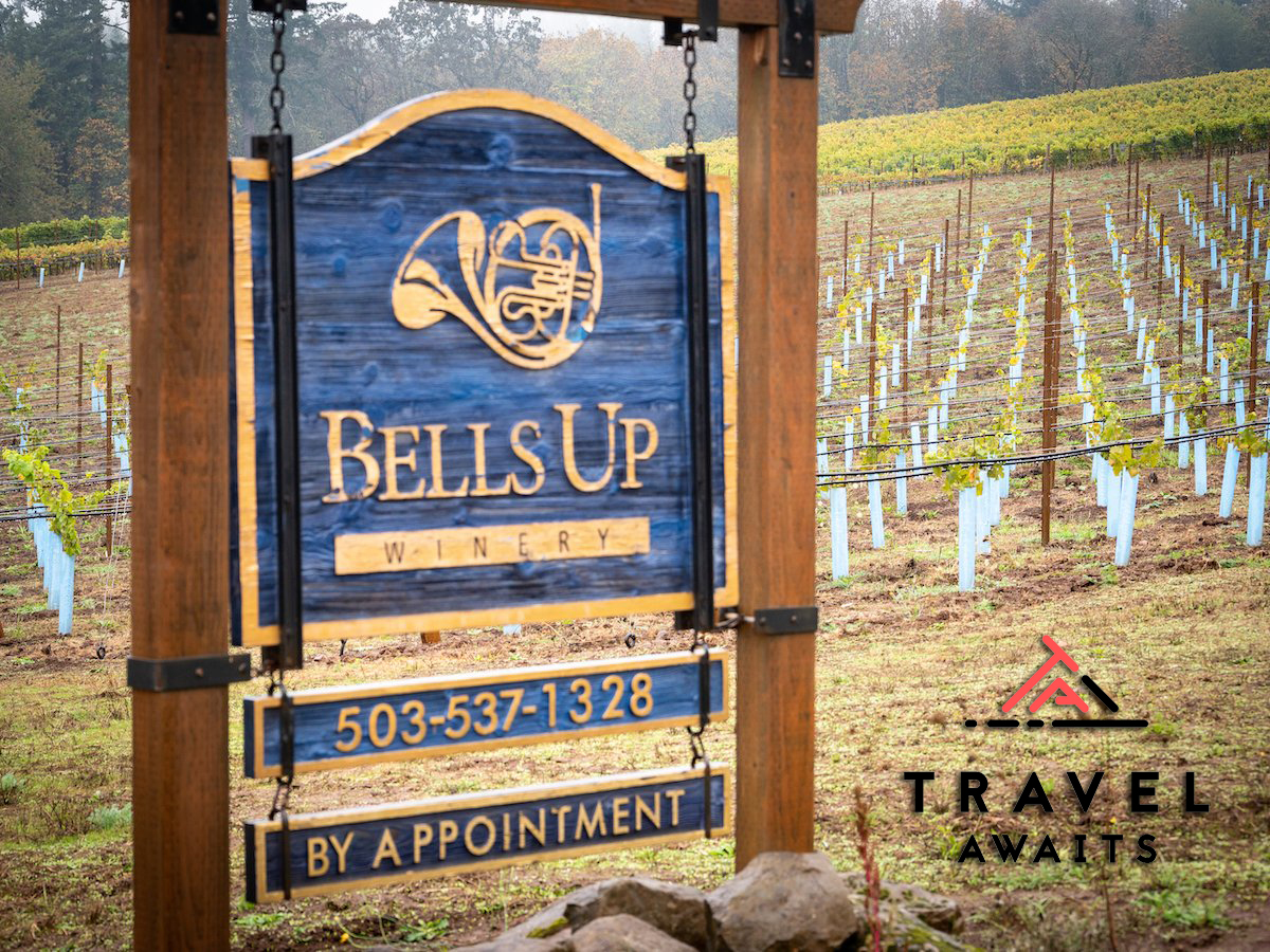 Bells Up Winery tweet media