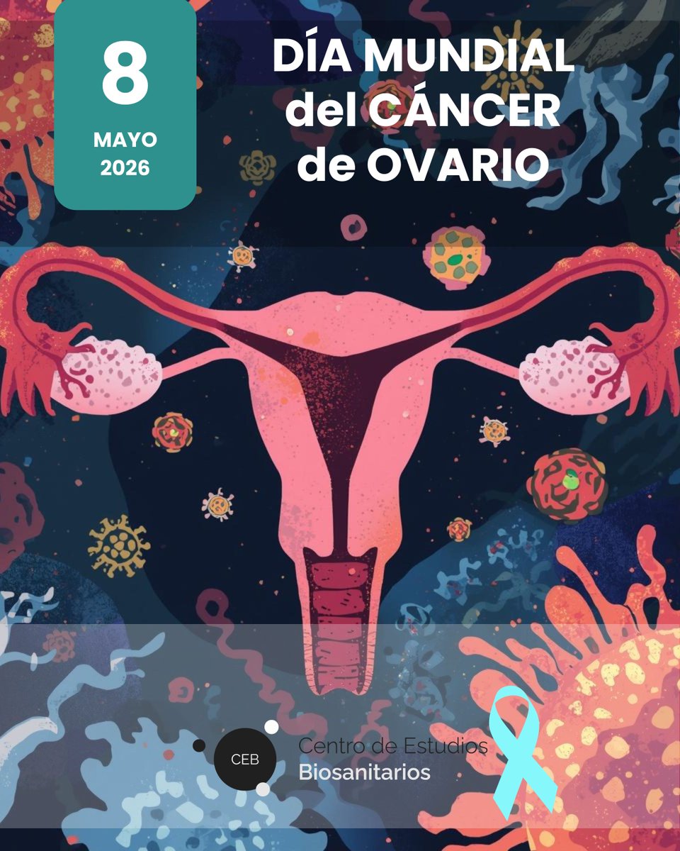 ceb_edu's tweet photo. ▶️El #CáncerDeOvario no es silencioso. Es que 𝗮𝘂́𝗻 𝗻𝗼 𝘀𝗮𝗯𝗲𝗺𝗼𝘀 𝗲𝘀𝗰𝘂𝗰𝗵𝗮𝗿𝗹𝗼 𝗯𝗶𝗲𝗻.

⬆️Se diagnostican más de 300.000 casos al año en todo el mundo. Más del 70% se detectan en estadios avanzados. La supervivencia a cinco años sigue siendo inferior al 50%. Estos números no son solo estadística. Son el reflejo de una realidad clínica que la #OncologíaMolecular está empezando a cambiar de raíz.

➡️Porque el cáncer de ovario no es una enfermedad uniforme. Es un 𝗴𝗿𝘂𝗽𝗼 𝗵𝗲𝘁𝗲𝗿𝗼𝗴𝗲́𝗻𝗲𝗼 𝗱𝗲 𝘁𝘂𝗺𝗼𝗿𝗲𝘀 𝗰𝗼𝗻 𝗽𝗲𝗿𝗳𝗶𝗹𝗲𝘀 𝗺𝗼𝗹𝗲𝗰𝘂𝗹𝗮𝗿𝗲𝘀 𝗱𝗶𝘀𝘁𝗶𝗻𝘁𝗼𝘀, 𝗰𝗼𝗺𝗽𝗼𝗿𝘁𝗮𝗺𝗶𝗲𝗻𝘁𝗼𝘀 𝗱𝗶𝘀𝘁𝗶𝗻𝘁𝗼𝘀 𝘆, 𝗰𝗮𝗱𝗮 𝘃𝗲𝘇 𝗺𝗮́𝘀, 𝘁𝗿𝗮𝘁𝗮𝗺𝗶𝗲𝗻𝘁𝗼𝘀 𝗱𝗶𝘀𝘁𝗶𝗻𝘁𝗼𝘀.

✅🄴🄽🅃🄴🄽🄳🄴🅁 🄴🅂🄰 🄷🄴🅃🄴🅁🄾🄶🄴🄽🄴🄸🄳🄰🄳 🅈🄰 🄽🄾 🄴🅂 🄾🄿🄲🄸🄾🄽🄰🄻: 🄴🅂 🄻🄰 🄲🄻🄰🅅🄴 🄿🄰🅁🄰 🄴🄻🄴🄶🄸🅁 🄱🄸🄴🄽.

🧬Lo que la genómica ya nos permite hacer:

-Identificar mutaciones en BRCA1/BRCA2 que orientan tanto el tratamiento como el consejo genético familiar.

-Determinar el estado de deficiencia en recombinación homóloga (HRD)para seleccionar candidatas a inhibidores de PARP.

-Anticipar el riesgo en portadoras antes de que el tumor aparezca, abriendo la puerta a la prevención real.

👨‍🔬Todo esto requiere profesionales que dominen no solo la clínica, sino la #BiologíaMolecular que hay detrás. 𝗤𝘂𝗲 𝘀𝗲𝗽𝗮𝗻 𝗺𝗼𝘃𝗲𝗿𝘀𝗲 𝗲𝗻𝘁𝗿𝗲 𝘂𝗻 𝗶𝗻𝗳𝗼𝗿𝗺𝗲 𝗱𝗲 𝘀𝗲𝗰𝘂𝗲𝗻𝗰𝗶𝗮𝗰𝗶𝗼́𝗻 𝗺𝗮𝘀𝗶𝘃𝗮 𝘆 𝘂𝗻𝗮 𝗱𝗲𝗰𝗶𝘀𝗶𝗼́𝗻 𝘁𝗲𝗿𝗮𝗽𝗲́𝘂𝘁𝗶𝗰𝗮. 𝗤𝘂𝗲 𝗲𝗻𝘁𝗶𝗲𝗻𝗱𝗮𝗻 𝗾𝘂𝗲́ 𝘀𝗶𝗴𝗻𝗶𝗳𝗶𝗰𝗮 𝘂𝗻𝗮 𝘃𝗮𝗿𝗶𝗮𝗻𝘁𝗲 𝗱𝗲 𝘀𝗶𝗴𝗻𝗶𝗳𝗶𝗰𝗮𝗱𝗼 𝗶𝗻𝗰𝗶𝗲𝗿𝘁𝗼 𝘆 𝗰𝗼́𝗺𝗼 𝗰𝗼𝗺𝘂𝗻𝗶𝗰𝗮𝗿𝗹𝗼.

🧫Eso es precisamente lo que trabajamos en el 𝗠𝗮́𝘀𝘁𝗲𝗿 𝗲𝗻 𝗢𝗻𝗰𝗼𝗹𝗼𝗴𝗶́𝗮 𝗠𝗼𝗹𝗲𝗰𝘂𝗹𝗮𝗿: 𝗳𝗼𝗿𝗺𝗮𝗿 𝗲𝘀𝗽𝗲𝗰𝗶𝗮𝗹𝗶𝘀𝘁𝗮𝘀 𝗾𝘂𝗲 𝗽𝘂𝗲𝗱𝗮𝗻 𝗵𝗮𝗰𝗲𝗿 𝗲𝘀𝗮 𝘁𝗿𝗮𝗱𝘂𝗰𝗰𝗶𝗼́𝗻 𝗲𝗻𝘁𝗿𝗲 𝗹𝗮 𝗺𝗼𝗹𝗲́𝗰𝘂𝗹𝗮 𝘆 𝗹𝗮 𝗽𝗮𝗰𝗶𝗲𝗻𝘁𝗲.

🎗️Hoy, en el #DíaMundialDelCáncerDeOvario, recordamos que visibilizar no es suficiente. 𝗛𝗮𝘆 𝗾𝘂𝗲 𝗲𝗻𝘁𝗲𝗻𝗱𝗲𝗿. 𝗬 𝗽𝗮𝗿𝗮 𝗲𝗻𝘁𝗲𝗻𝗱𝗲𝗿, 𝗵𝗮𝘆 𝗾𝘂𝗲 𝗳𝗼𝗿𝗺𝗮𝗿𝘀𝗲.

🟧Máster en Oncología Molecular · CEB
Convocatoria de Becas de Ayuda al Estudio abierta · Curso 2026–2027
https://t.co/5vz0k6cns6

#MedicinaPersonalizada
#cáncer #cancer
#LaFormaciónQueCura
#ConociendoAlEnemigo
#GanaLaBatalla