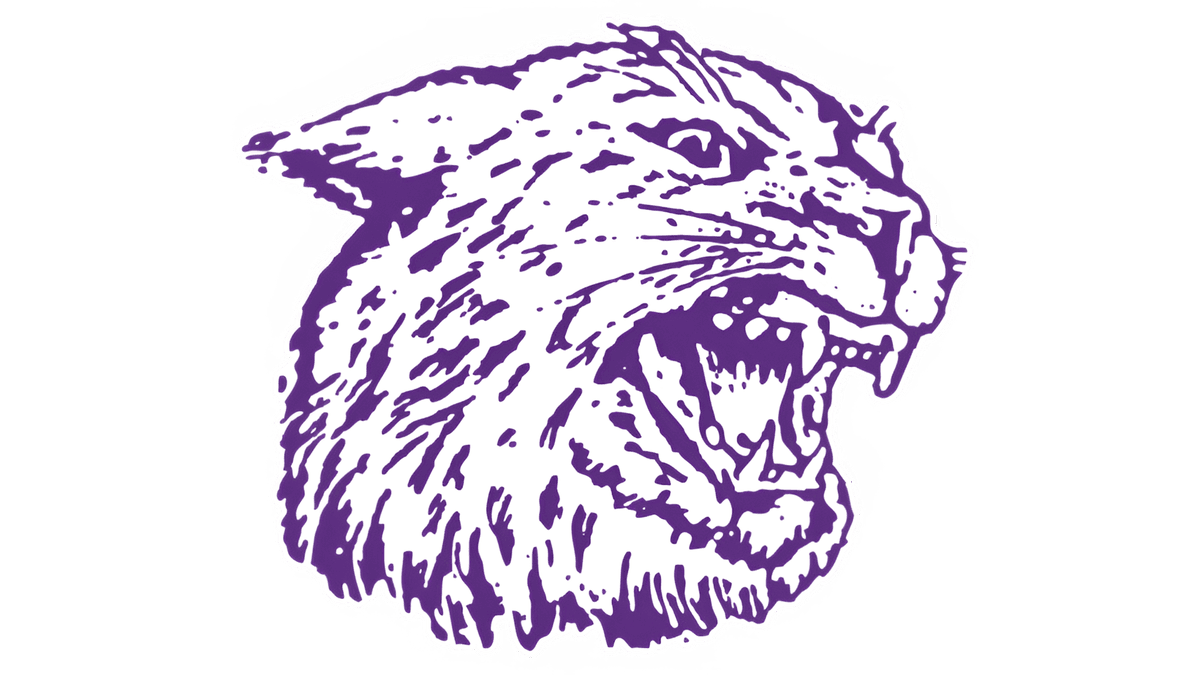 SomtoOkorie11's tweet photo. After an amazing conversation with @CoachBuddyWyatt, I am blessed to announce that I have received my first offer from @KStateFB https://t.co/fSLlmiZSEM