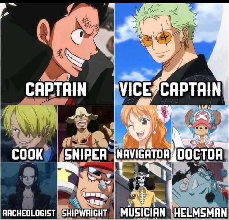 One Piece Daily tweet media