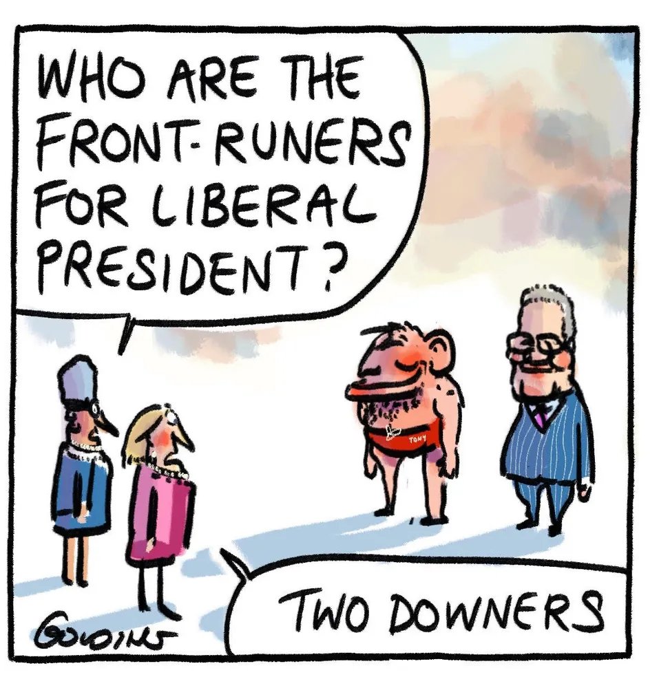 Matt Golding. #auspol #DownerVsDowner