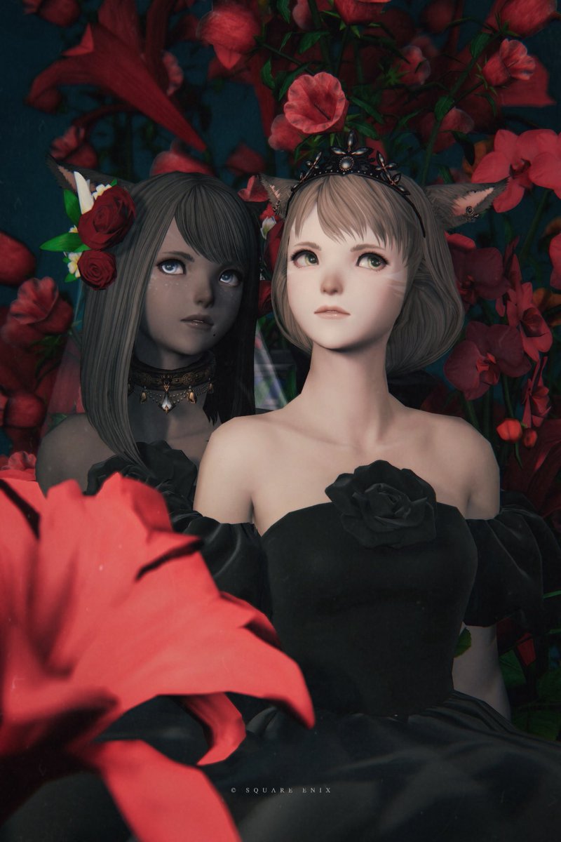 choco1106_'s tweet photo. bloom in the dark

#おはミコ #鼻黒ッテ #写真屋A https://t.co/qSZhRZNBMc