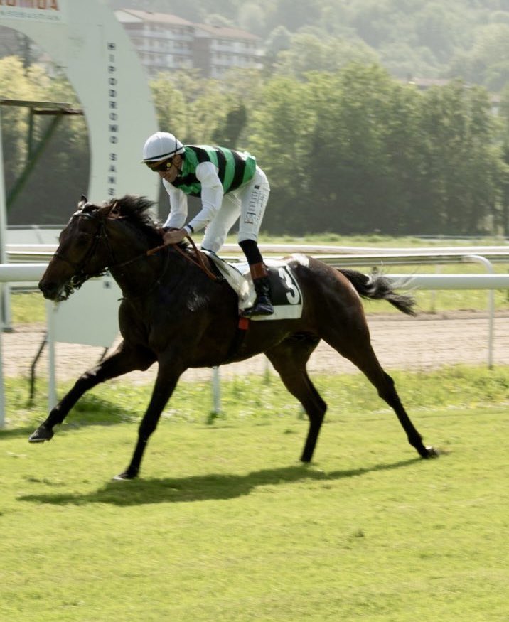 Ferdemente 🏇💚⚽️ tweet media