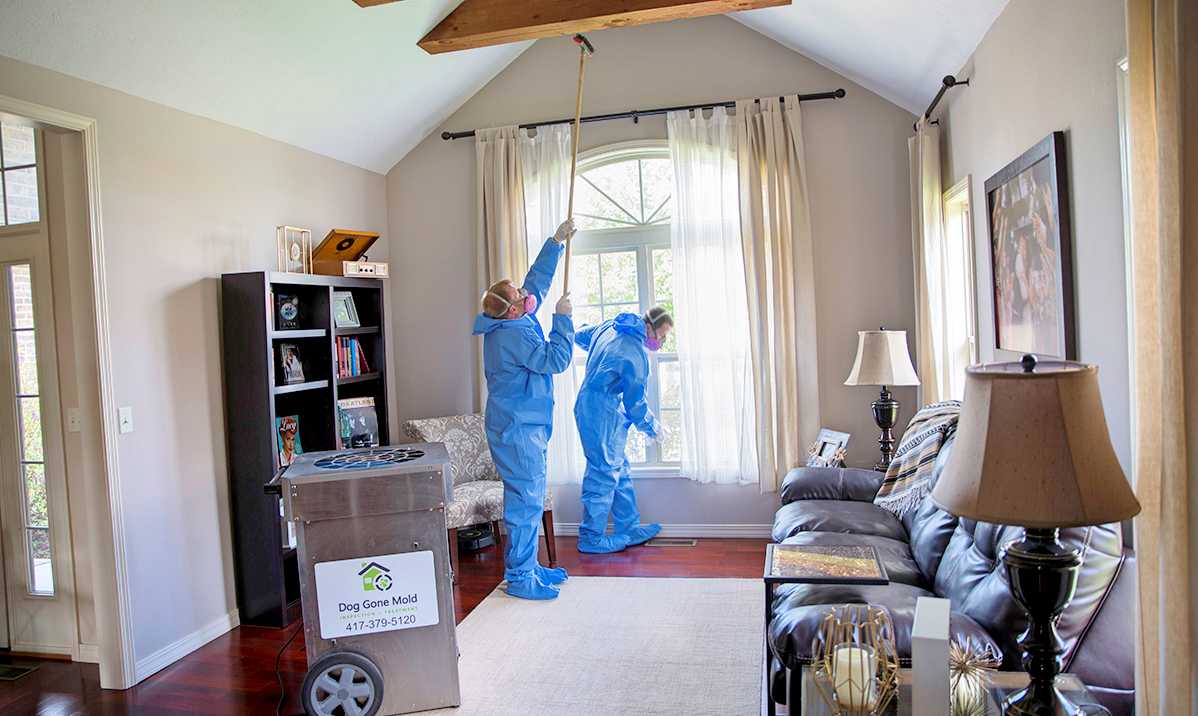 doggonemold's tweet photo. The mold treatment products that are used inside your home do matter, but the long-term results also depend on the full mold remediation process, including moisture control, proper cleaning and the safe removal of any mold infested materials when needed: https://t.co/M2kAmjdzDX https://t.co/yIdJZaqhCN