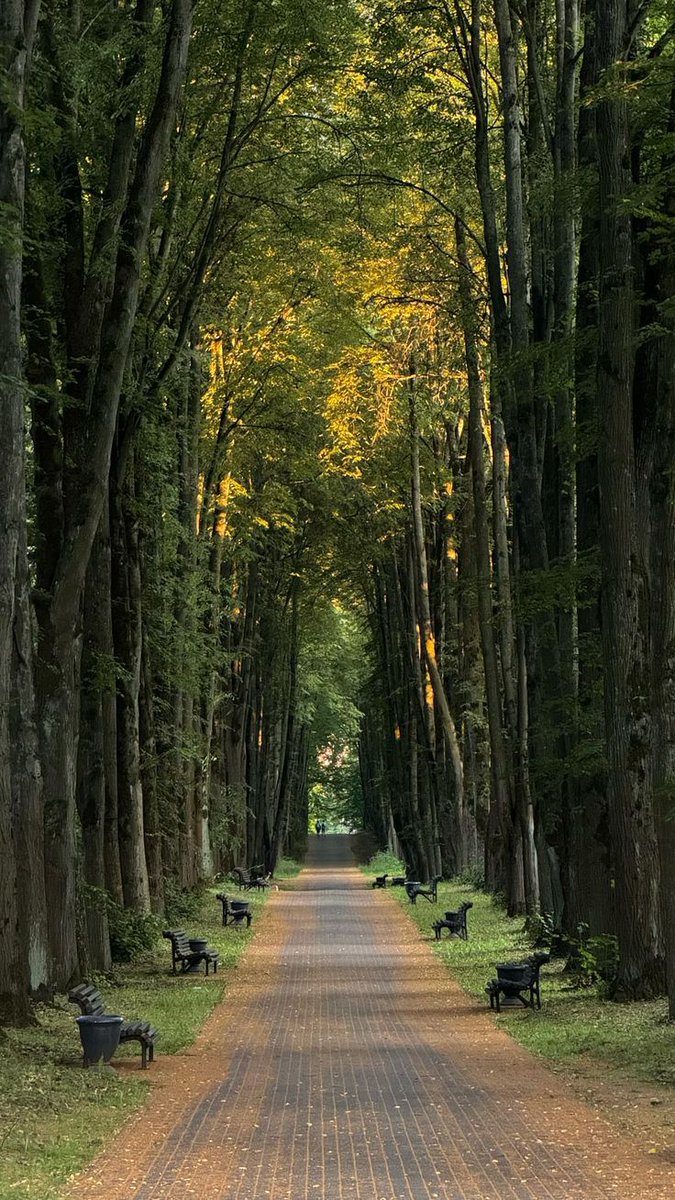 Nature🍃 tweet media