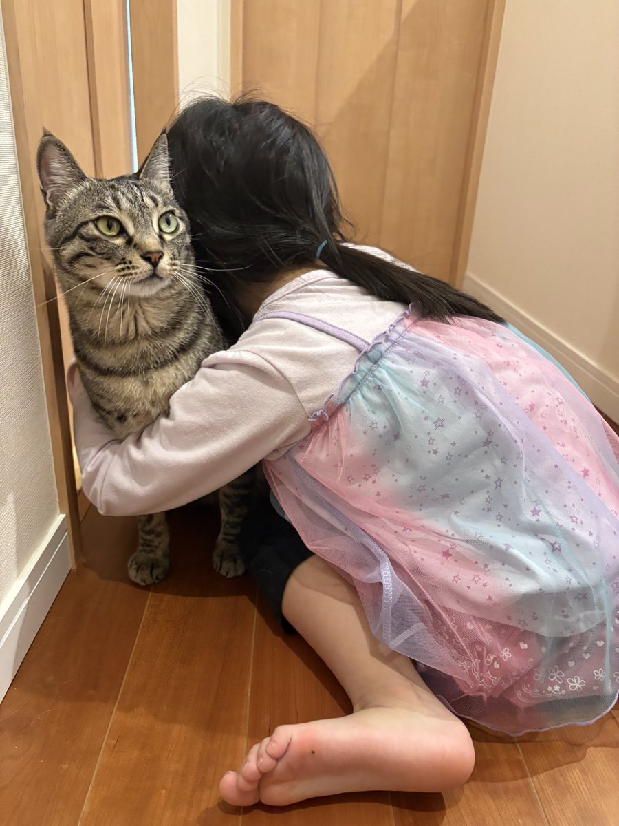 ヌッコさん結構おっきい気がする…