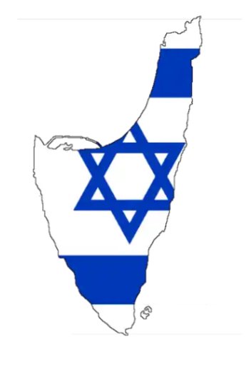 אור ציון tweet media