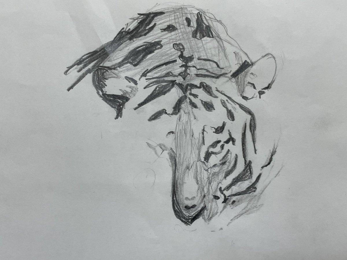 描きかけ🐯